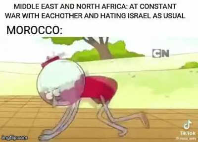 Bet they stay still for so long that they have the ability to turn invisible