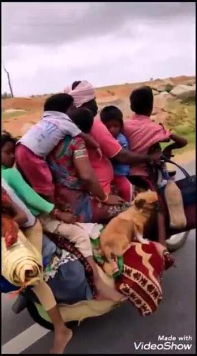 You left some space free there sir