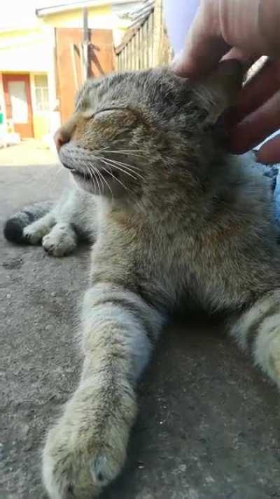 Calm down, friend, just calm down