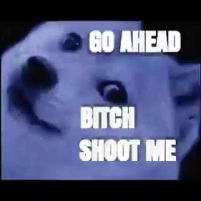 HOLY SHIT ITS DOGE😩😩😩