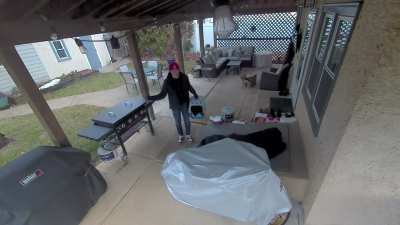 Ganon isn’t afraid to tell me how he feels when we leave for the vet.