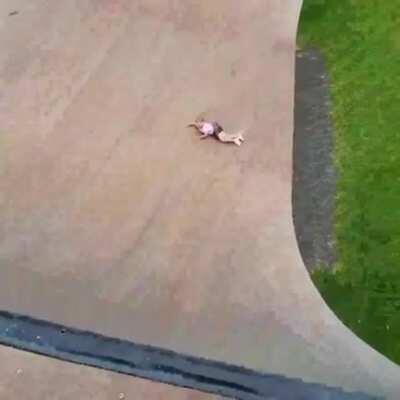 Drop in...your sister