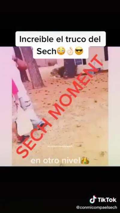 El pana sech