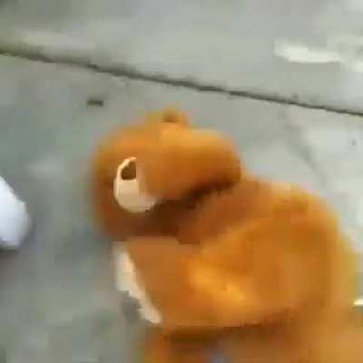 god motherfucking damn!!!!