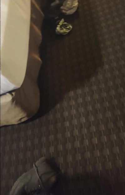 This is from hubby's recording of when he walked in on me and my bull.. Hubby said that is what he needs to see every time we go to a new hotel room. .