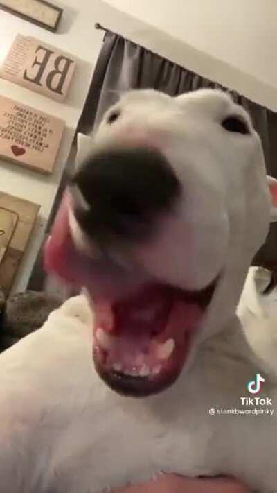 ︎ ︎ ︎ ︎ ︎ ︎ ︎