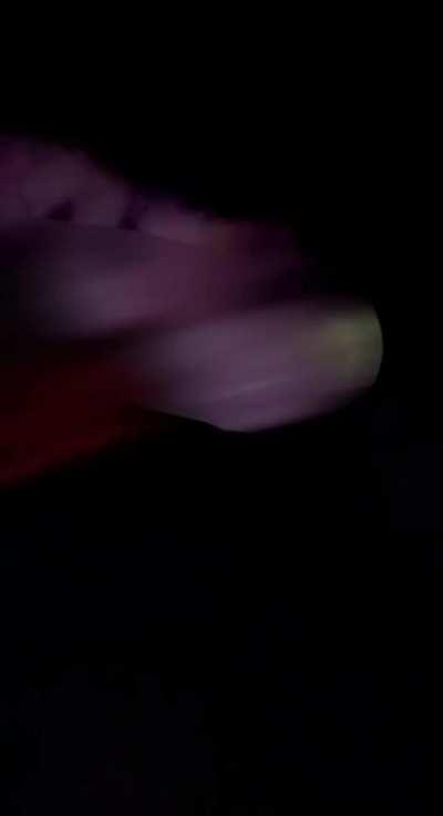 U/xo_wife slurping my bbc with her wedding ring showing while her husband drives us around!