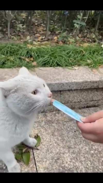 Healing during battle 😹😹