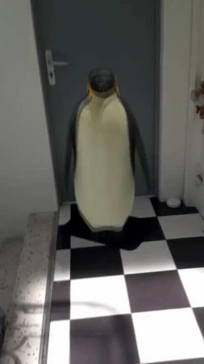 Found a lil guy in my attic