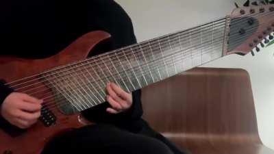 playing a 14 string guitar