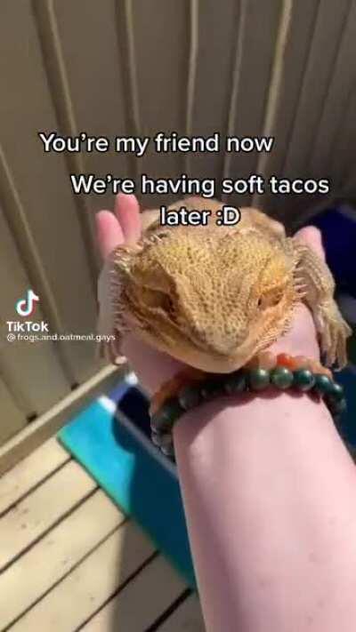 I can’t wait for those soft tacos