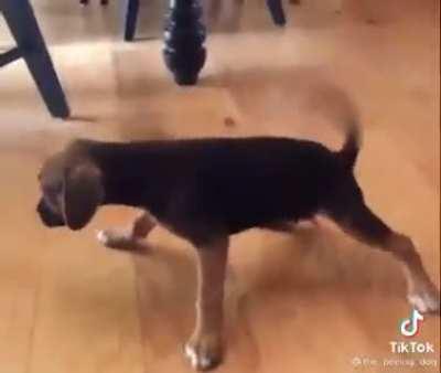 R/WORDINGTON AT 3K BOYS LETS FUCKING GO