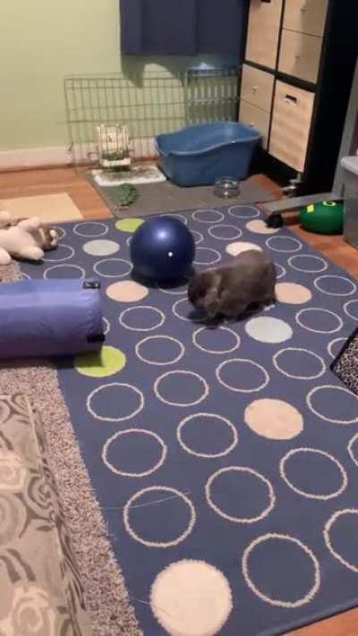 Gary: gearing up for a big binky…nope, false alarm