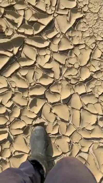 [UNINTENTIONAL] Dry mud cracking