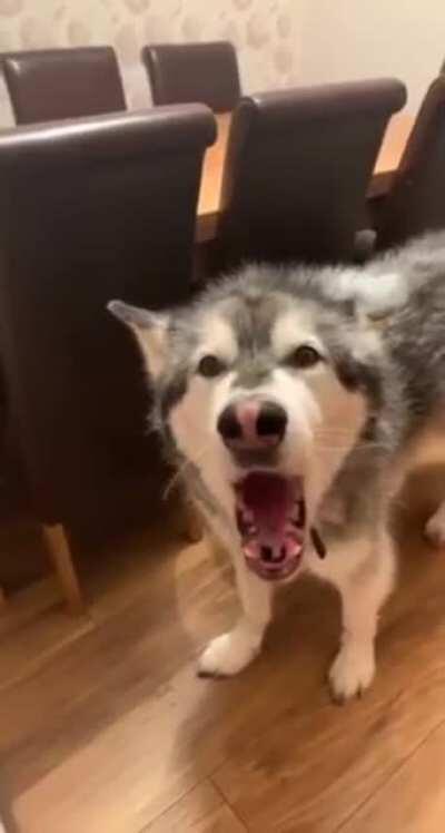 why is she in my bed?