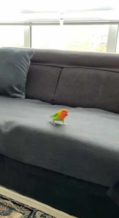 Coming for hugs and cuddles!