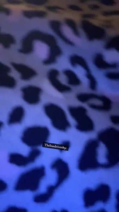 Farting in my moo moo 🤣💨