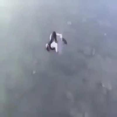 haram ⛔❌ الانفجار الكبير الديك قرد الحلال 🦍🇸🇦🇸🇦🪂