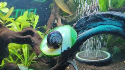 Oh, I want to get away I want to fly away 🎶