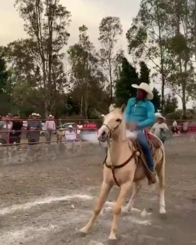 That is one very fast horse there!