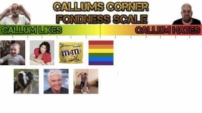 I created a scale of things Callum likes and hates from most loved to most hated