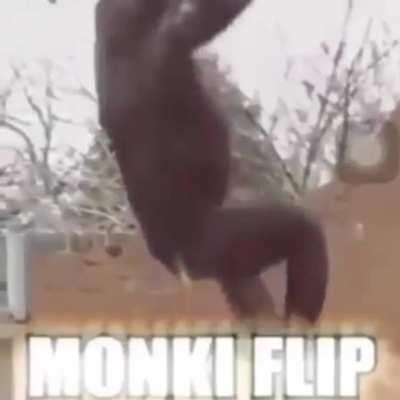 Monke