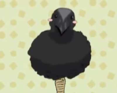 Where do I post this?