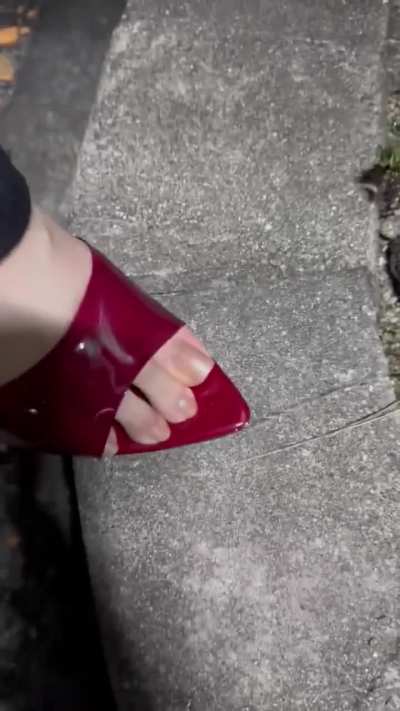 🇯🇵 Japanese girls pestcontrol