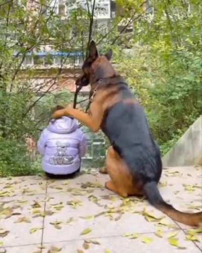 Everybody deserves to grow up with a dog.