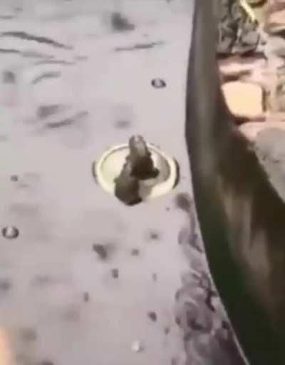 Titanic ayrıntılı özet