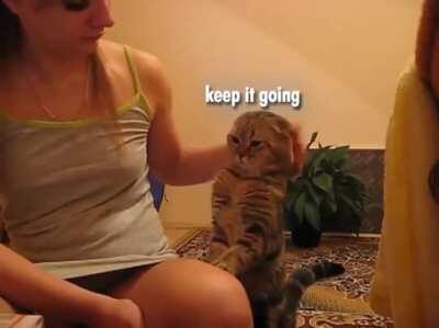 I am asking you politely.