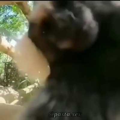 Primeira part do vídeo