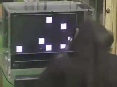 Cognitive Trade-off Hypothesis: short term memory vs language comprehension