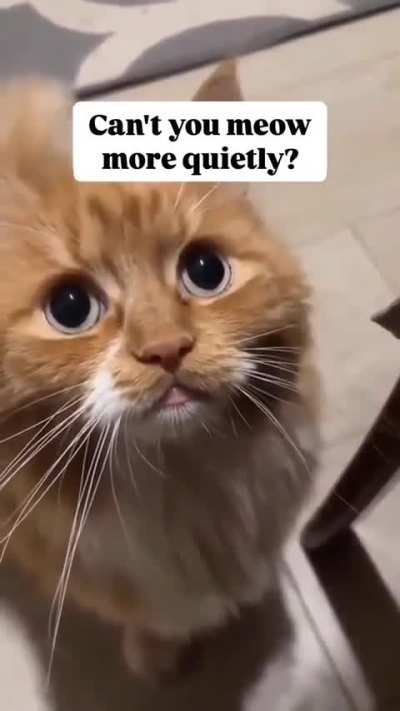 56 of an Oodle of Unmuted Faves