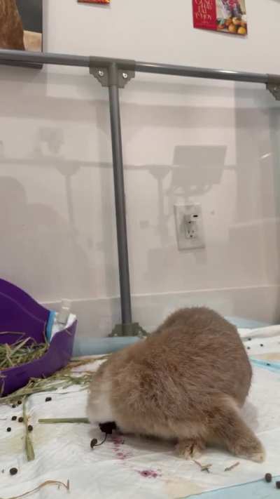 Maybe it’s me but he looks more tilty 🥺