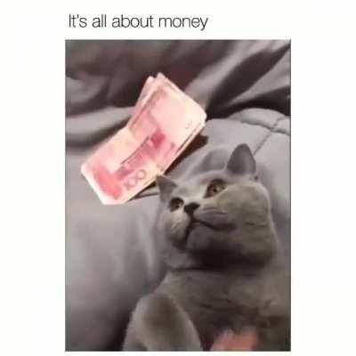 Khanit has bellyrubs if you have coin