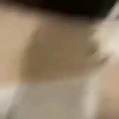 Tullinha fazendo irl cozinhando