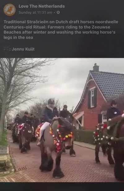 All are happy with their participating