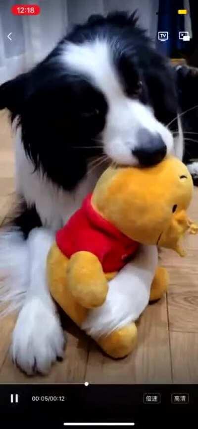 格林！你为什么要沙心瓶！？