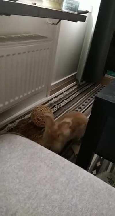 Mods are asleep, post bunny calculatons