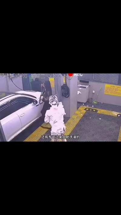 My favourite form of entertainment is Chinese car wash videos 