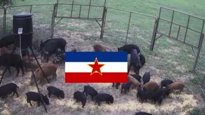 It’s a miracle that the Balkans stayed united as long as they did…until they didn’t