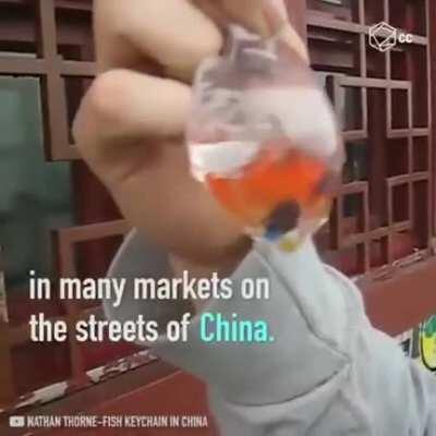 What government allows something this fucked up to occur?