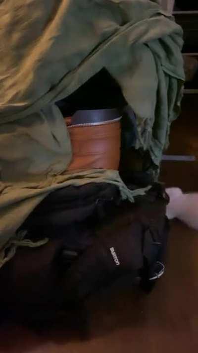 Squeaky wobbly heartbreaker