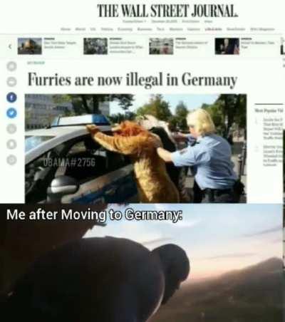 Who’s moving to Germany with me?