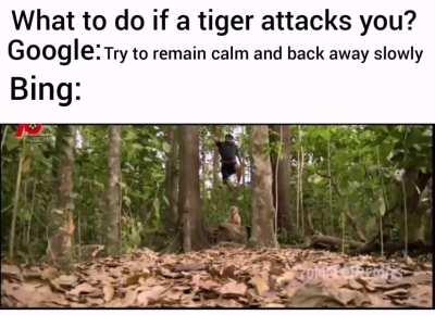 *pulimurugan bgm starts playing *