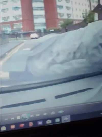 Interesting way to try to commit insurance fraud