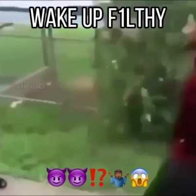 Wake Up F1LTHY