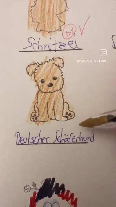 Deutschland 😁👍