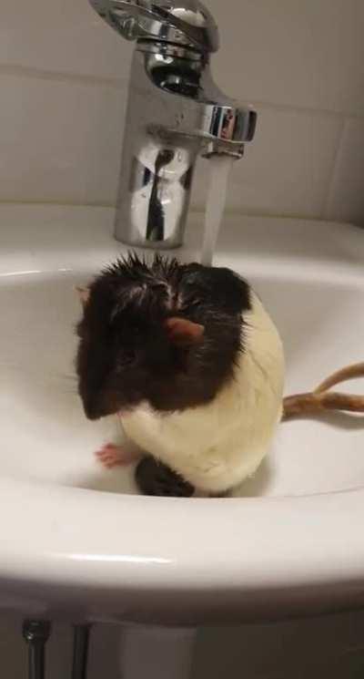 Don't mind me, just taking a lil shower